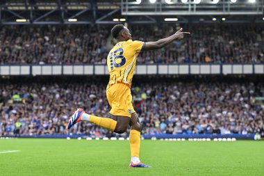 Brighton & Hove Albion takımından Danny Welbeck, 17 Ağustos 2024 'te Goodison Park, İngiltere' de oynanan Premier League maçında Everton, Brighton ve Hove Albion 'a karşı 0-2 Brighton' a ulaşma hedefini kutluyor.