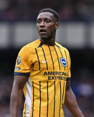 Brighton & Hove Albion takımından Danny Welbeck, 17 Ağustos 2024 'te Goodison Park, Liverpool' da oynanan Premier League maçında Everton ve Hove Albion 'a karşı.