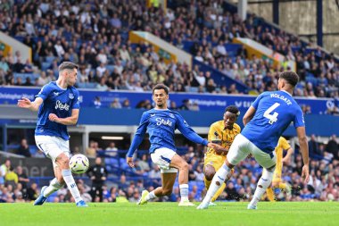 Brighton & Hove Albion takımından Simon Adingra, 17 Ağustos 2024 'te Goodison Park, İngiltere' de oynanan Premier League maçında Everton, Brighton ve Hove Albion maçında 0-3 Brighton 'a gol attı.