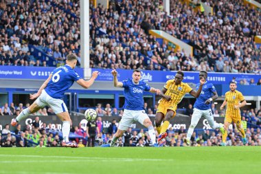 Brighton & Hove Albion takımından Danny Welbeck, 17 Ağustos 2024 'te Goodison Park, İngiltere' de oynanan Premier League maçında Everton, Brighton ve Hove Albion 'a karşı 0-2 Brighton' da gol attı.