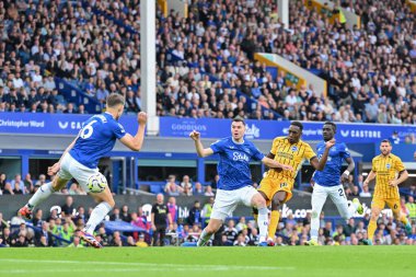 Brighton & Hove Albion takımından Danny Welbeck, 17 Ağustos 2024 'te Goodison Park, İngiltere' de oynanan Premier League maçında Everton, Brighton ve Hove Albion 'a karşı 0-2 Brighton' da gol attı.