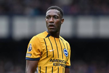 Brighton & Hove Albion takımından Danny Welbeck, 17 Ağustos 2024 'te Goodison Park, Liverpool' da oynanan Premier League maçında Everton ve Hove Albion 'a karşı.