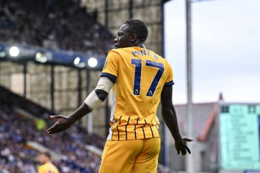 Brighton & Hove Albion takımından Yankuba Minteh, 17 Ağustos 202 'de Goodison Park, Liverpool' da oynanan Premier League karşılaşmasında yerine geçen Everton ve Hove Albion 'a tepki gösterdi.
