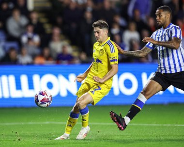 Leeds United takımından Dan James, 23 Ağustos 2024 'te Sheffield Wednesday, Hillsborough, Sheffield, İngiltere' de Leeds United 'a karşı oynanan Sky Bet Şampiyonası maçında 0-2 berabere kaldı.