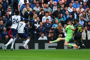 Tottenham Hotspur 'un oğlu Heung-min Premier League maçında Tottenham Hotspur Everton' a karşı Tottenham Hotspur Stadyumu 'nda 24 Ağustos 2024' te oynanan maçta takımın dördüncü golünü attı.