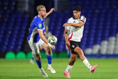 Birmingham City 'den Christoph Klarer ve Fulham' dan Ral Jimnez, Birmingham City, Birmingham 'a karşı 27 Ağustos 2024' te oynanan Carabao Kupası maçında top için savaştılar.