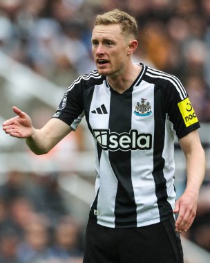 Newcastle United takımının Sean Longstaff, 1 Eylül 2024 'te St. James' s Park, Newcastle 'da oynanan Premier League maçı sırasında takım arkadaşlarına talimat verir.