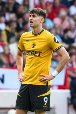 Wolverhampton Wanderers takımından Jrgen Strand Larsen Premier League maçında Nottingham Forest, Wolverhampton Wanderers 'a karşı 31 Ağustos 2024' te City Ground, Nottingham, İngiltere 'de.