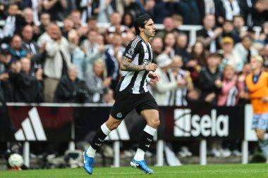 Newcastle United takımının oyuncusu Sandro Tonali, 1 Eylül 2024 'te St. James' s Park, Newcastle 'da oynanan Premier League karşılaşmasında Tottenham Hotspur' a karşı oynamıştır.