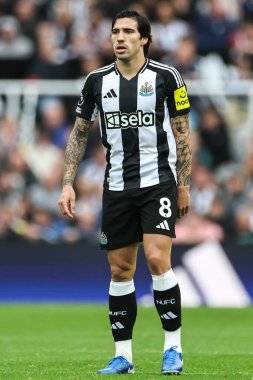 Newcastle United 'dan Sandro Tonali Premier Lig karşılaşmasında Newcastle United ile Tottenham Hotspur arasında 1 Eylül 2024' te St. James 's Park, Newcastle' da karşılaşacak.