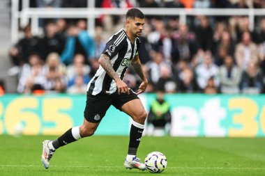 Newcastle United takımından Bruno Guimares, 1 Eylül 2024 'te St. James' s Park, Newcastle, İngiltere 'de oynanan Premier League maçında Tottenham Hotspur' a karşı oynayarak ilerliyor.