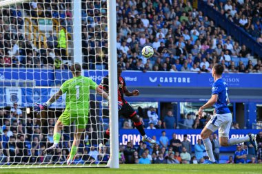 Bournemouth takımından Luis Sinisterra, 31 Ağustos 2024 'te Goodison Park, Liverpool, İngiltere' de oynanan Premier League maçında Everton ve Bournemouth maçında 2-3 Bournemouth 'a gol attı.