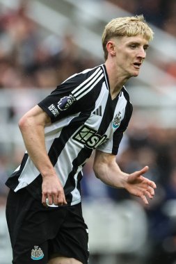 Newcastle United takımından Anthony Gordon 1 Eylül 2024 'te St. James' s Park 'ta Tottenham Hotspur' a karşı oynanan Premier League maçı sırasında