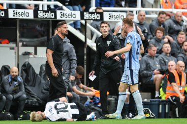 Jason Tindall coach of Newcastle and Dejan Kulusevski of Tottenham Hotspur come to blows during the Premier League match Newcastle United vs Tottenham Hotspur at St. James's Park, Newcastle, United Kingdom, 1st September 2024 clipart