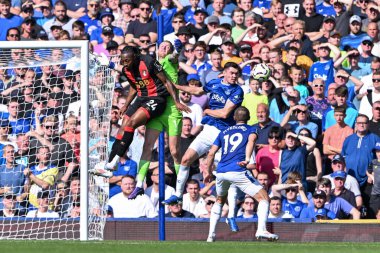 Everton 'dan Jordan Pickford, İngiltere' nin Liverpool kenti Goodison Park 'ta oynanan Premier League maçında Everton' a karşı Bournemouth maçında topa vurmaya çalışırken topu kaçırdı.