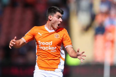 Blackpool 'dan Rob Apter 31 Ağustos 2024' te Bloomfield Road, Blackpool 'da Blackpool-Wycombe Wanderers maçında tepki gösterdi.