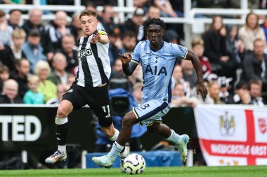 Tottenham Hotspur takımından Yves Bissouma, Premier Lig karşılaşması Newcastle United 'ın Tottenham Hotspur' a karşı St. James 's Park, Newcastle, İngiltere' de 1 Eylül 2024 'de oynadığı maçta topu aldı.