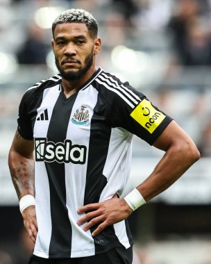 Newcastle United 'dan Joelinton Premier Lig maçı sırasında Newcastle United, Tottenham Hotspur' a karşı St. James 's Park, Newcastle, 1 Eylül 2024