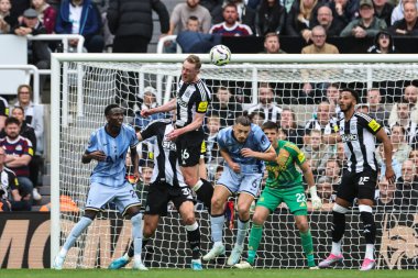 Newcastle United takımından Sean Longstaff, 1 Eylül 2024 'te St. James' s Park, Newcastle, İngiltere 'de oynanan Premier League maçı Newcastle United ile Tottenham Hotspur maçında topu açık farkla önde götürüyor.