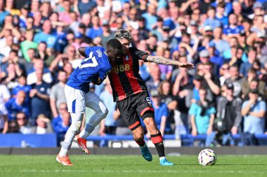 Everton 'dan İdrissa Gueye Bournemouth Marcos Senesi Premier Lig maçı sırasında Goodison Park, Liverpool, Birleşik Krallık' ta Everton 'a karşı Bournemouth maçında faul yaptı.