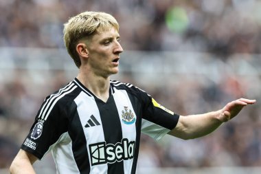 Newcastle United takımından Anthony Gordon 1 Eylül 2024 'te St. James' s Park 'ta Tottenham Hotspur' a karşı oynanan Premier League maçı sırasında