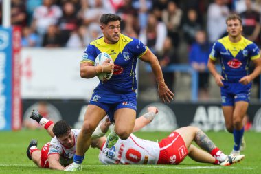 Warrington Wolves takımından Joe Philbin, 7 Eylül 2024 'te Halliwell Jones Stadyumu' nda oynanan 25. Warrington Wolves - St Helens maçında topu kırıyor.