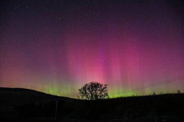 Kuzey Işıkları, Aurora Borealis 'in 10 Ekim 2024' te Whitby Limanı, Whitby, İngiltere 'de parladığını da bilir.