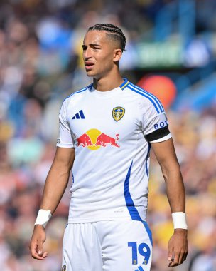 Leeds United takımından Mateo Joseph, Leeds Road, İngiltere 'de Leeds Road' da Leeds United ile oynadığı Sky Bet Şampiyonası maçında 14 Eylül 2024