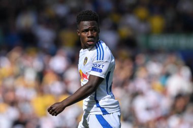 Leeds United takımından Wilfried Gnonto, Leeds Road, Leeds, İngiltere 'de Leeds United maçında 14 Eylül 2024 tarihinde Leeds United' a karşı oynamıştır.