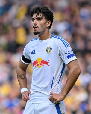Leeds United takımından Pascal Struijk, Leeds Road 'da Leeds United' a karşı 14 Eylül 2024 'te oynanan Sky Bet Şampiyonası maçında