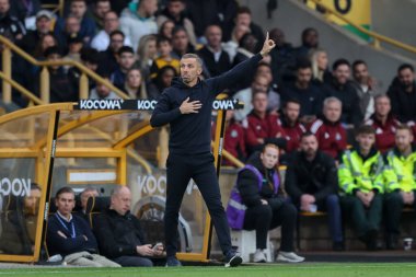 Wolverhampton Wanderers 'ın Gary O' Neil Menajeri, Premier League maçında Wolverhampton Wanderers, Newcastle United 'a karşı Molineux, Wolverhampton, İngiltere, 15 Eylül 2024