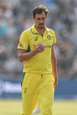 Mitchell Starc of Australia inspects the ball during the Second Metro Bank One Day International England v Australia at Headingley Cricket Ground, Leeds, United Kingdom, 21st September 2024 clipart