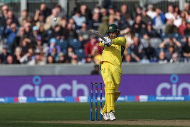 Alex Carey of Australia hits a four during the Third Metro Bank One Day International match England vs Australia at The Seat Unique Riverside, Chester-le-street, United Kingdom, 24th September 2024 clipart