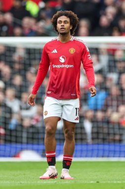 Manchester United 'ın Manchester United ile Tottenham Hotspur arasındaki Premier League maçı sırasında Manchester United' tan Joshua Zirkzee 29 Eylül 202 'de Old Trafford, Manchester' da karşı karşıya geldi.