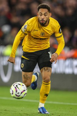 Wolverhampton Wanderers takımından Matheus Cunha, 28 Eylül 2024 tarihinde İngiltere 'nin Wolverhampton kentinde oynanan Premier League maçında Wolverhampton Wanderers' a karşı Liverpool maçında topa vuruyor.