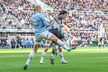 Manchester City 'den Erling Haaland, Premier League maçı Newcastle United ile Manchester City arasındaki 28 Eylül 2024' te St. James 's Park, Newcastle, İngiltere' de oynanan karşılaşmada topu Newcastle United 'dan Sandro Tonali' den aldı.
