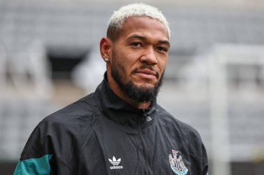 Newcastle United takımından Joelinton, Carabao Kupası 'nda 3. Raunt Newcastle United ile AFC Wimbledon maçında 1 Ekim 2024' te St.James 's Park, Newcastle' a geldi.