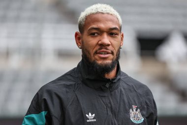 Newcastle United takımından Joelinton, Carabao Kupası 'nda 3. Raunt Newcastle United ile AFC Wimbledon maçında 1 Ekim 2024' te St.James 's Park, Newcastle' a geldi.