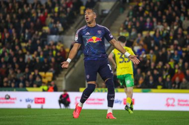 Leeds United takımından Mateo Joseph, 1 Ekim 2024 'te Norwich City - Leeds United maçında tepki gösterdi.