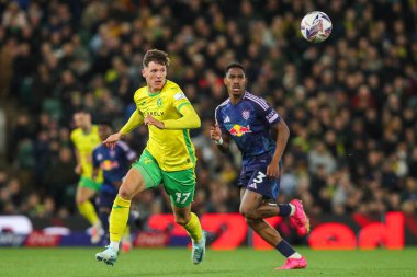 Norwich City 'den Ante Crnac, Norwich City' nin 1 Ekim 2024 'te Carrow Road, Norwich United' a karşı oynadığı Sky Bet Şampiyonası maçında topu aldı.