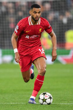 Liverpool 'dan Cody Gakpo, 2 Ekim 2024' te Liverpool - Lig Sahne Maçı 'nda Liverpool Bologna' ya karşı Anfield, Liverpool, İngiltere 'de top koştu.