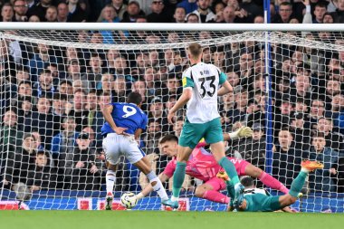 Everton 'dan Dominic Calvert-Lewin Newcastle United takımının 5 Ekim 2024' te Goodison Park 'ta oynanan Premier League maçı sırasında Nick Pope tarafından kaydedildi.