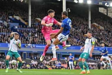 Everton 'dan Dominic Calvert-Lewin, Premier League maçı sırasında Goodison Park, Liverpool, İngiltere' de oynanan Everton-Newcastle United maçında gol attı.