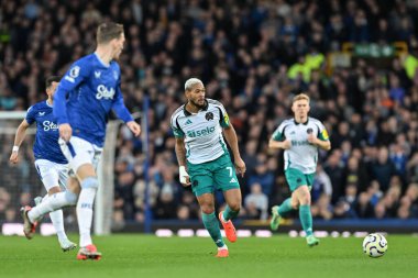 Newcastle United takımından Joelinton, 5 Ekim 2024 'te Goodison Park, Liverpool' da oynanan Everton - Newcastle United Premier League maçında pas attı.