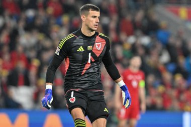 UEFA Uluslar Ligi sırasında Galler 'den Karl Darlow - Lig B - Grup 4 - Galler - Karadağ' a karşı Cardiff City Stadyumu, Cardiff, Birleşik Krallık, 14 Ekim 2024