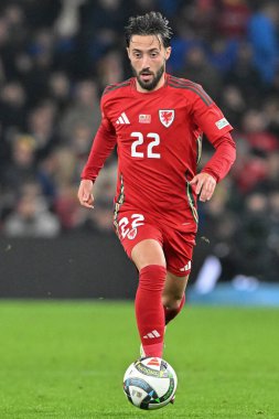 UEFA Uluslar Ligi sırasında Galler 'den Josh Sheehan - Lig B - Grup 4, Cardiff City Stadyumu' nda Galler-Karadağ maçında, 14 Ekim 2024