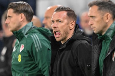 Craig Bellamy, UEFA Uluslar Ligi - Lig B - Grup 4 - Galler-Karadağ maçı sırasında Cardiff City Stadyumu, Cardiff, İngiltere, 14 Ekim 2024