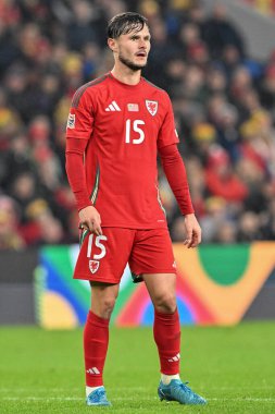 UEFA Uluslar Ligi sırasında Galler 'den Liam Cullen - Lig B - Grup 4 Maçı Galler' e karşı Karadağ Cardiff City Stadyumu, Cardiff, Birleşik Krallık, 14 Ekim 2024