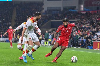 Galler 'den Sorba Thomas, UEFA Uluslar Ligi - Lig B - Grup 4 maçında topu Cardiff City Stadyumu' nda Galler-Karadağ maçında tutuyor, Cardiff, İngiltere, 14 Ekim 2024