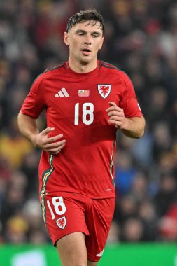 UEFA Uluslar Ligi - Lig B - Grup 4 maçında Galler Karadağ 'a karşı Cardiff City Stadyumu, Cardiff, Birleşik Krallık, 14 Ekim 2024